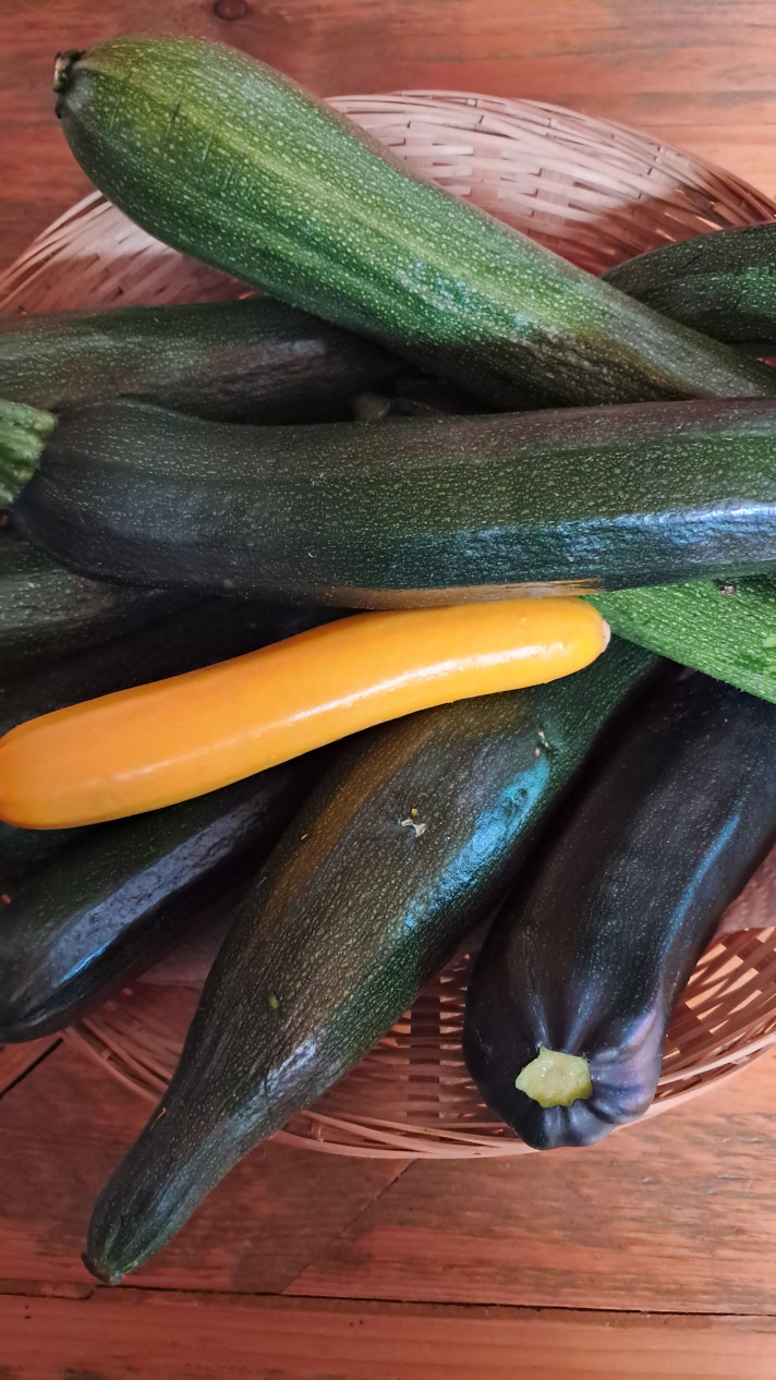Courgette 1